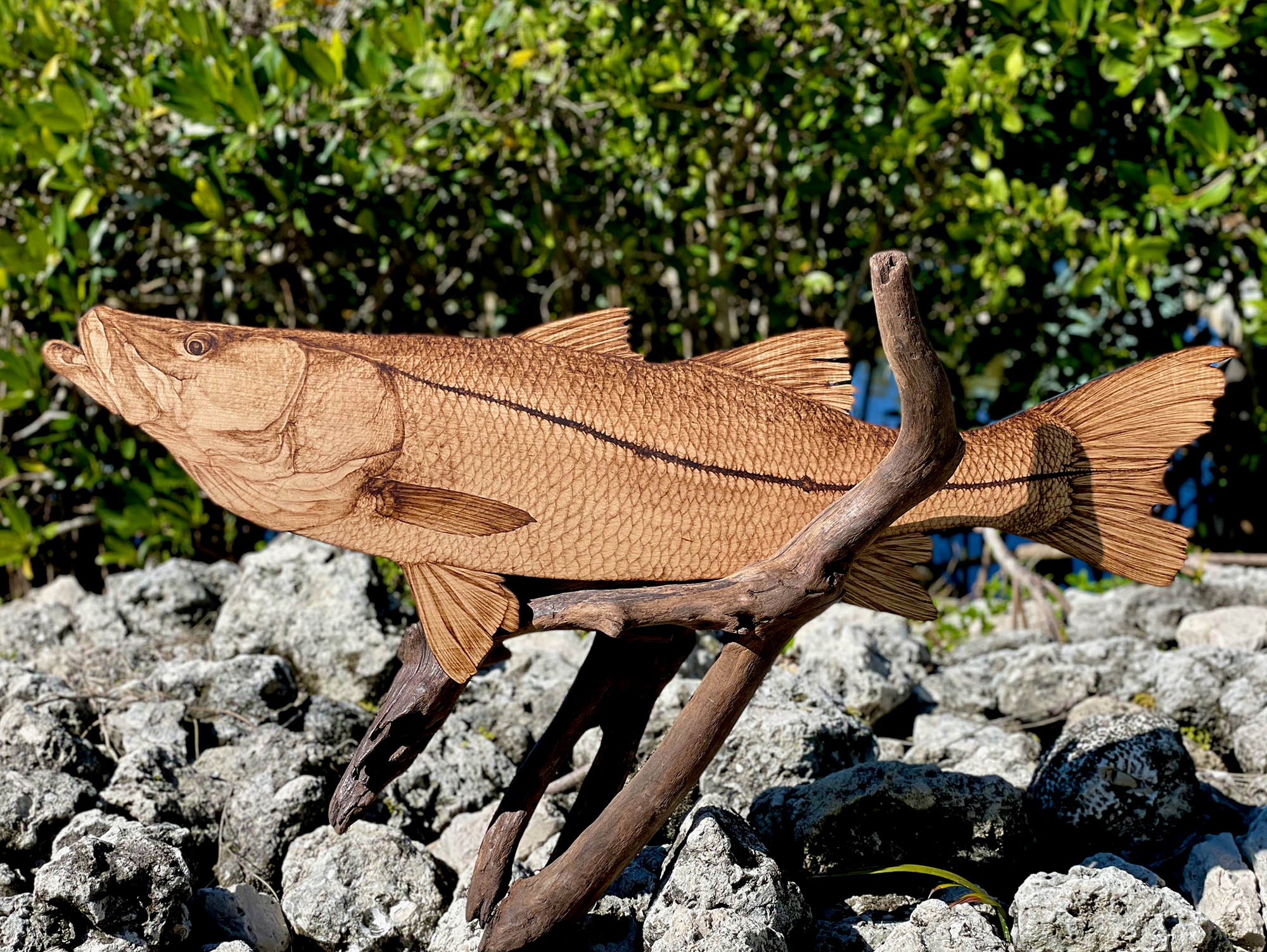 A PB Snook Mount...Wood Burning Style