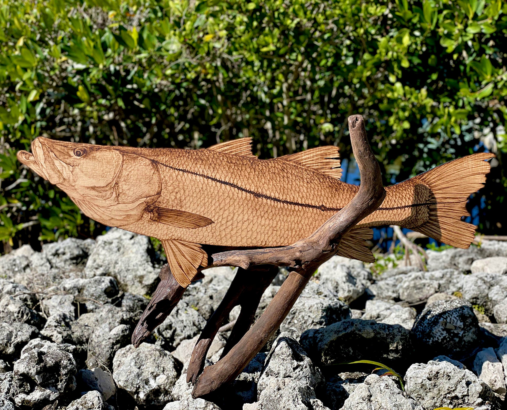 A PB Snook Mount...Wood Burning Style