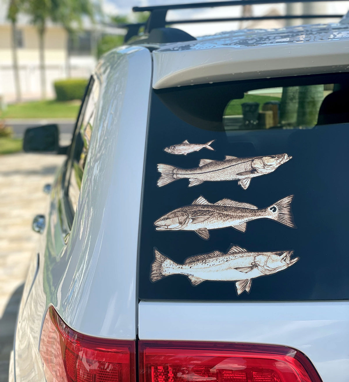 Snook 10&quot; Vinyl Decal - Dishwasher Safe, 100% UV Resistant - FREE SHIPPING
