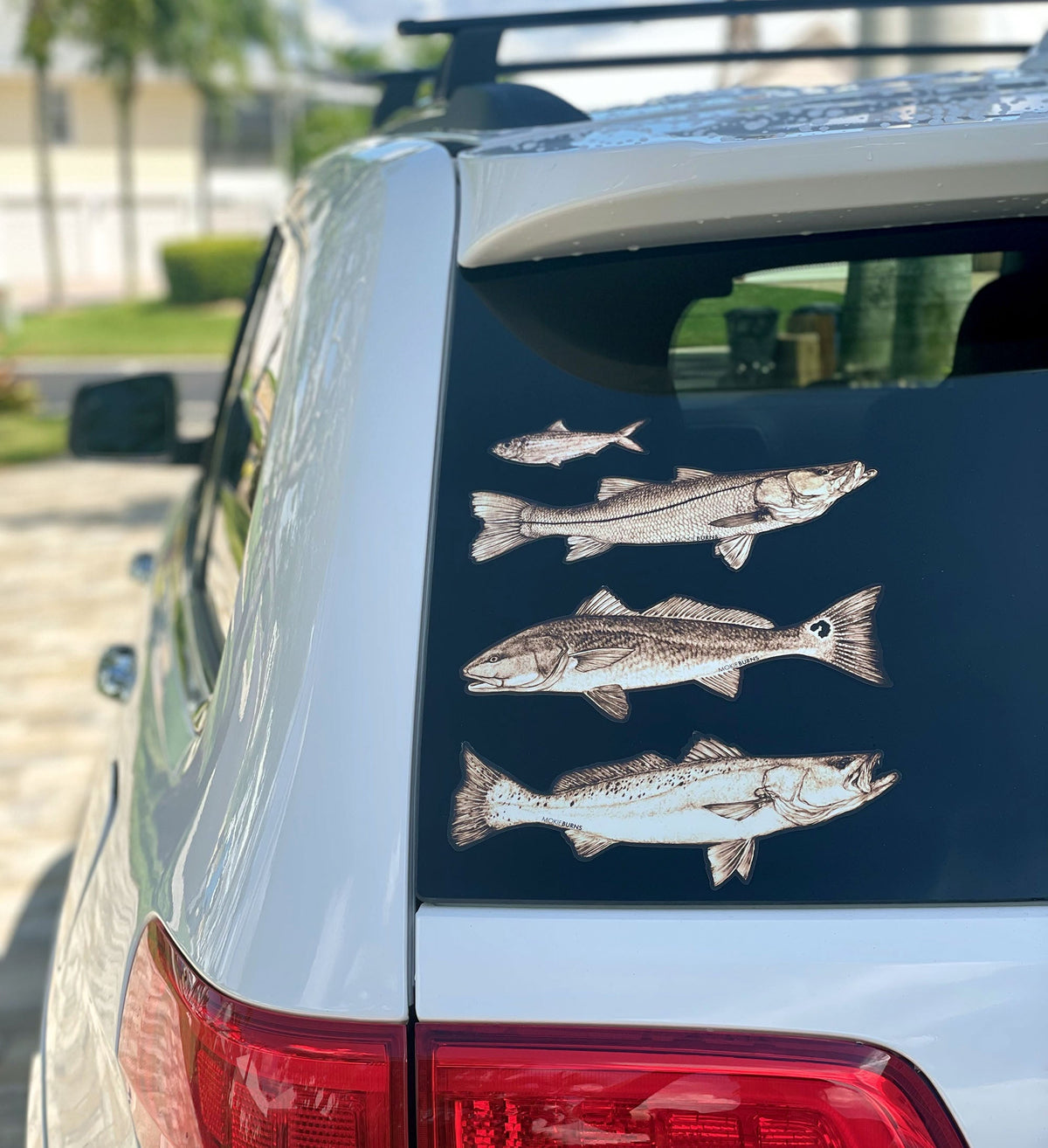 Speckled Seatrout 10&quot; Vinyl Decal - Dishwasher Safe, 100% UV Resistant - FREE SHIPPING