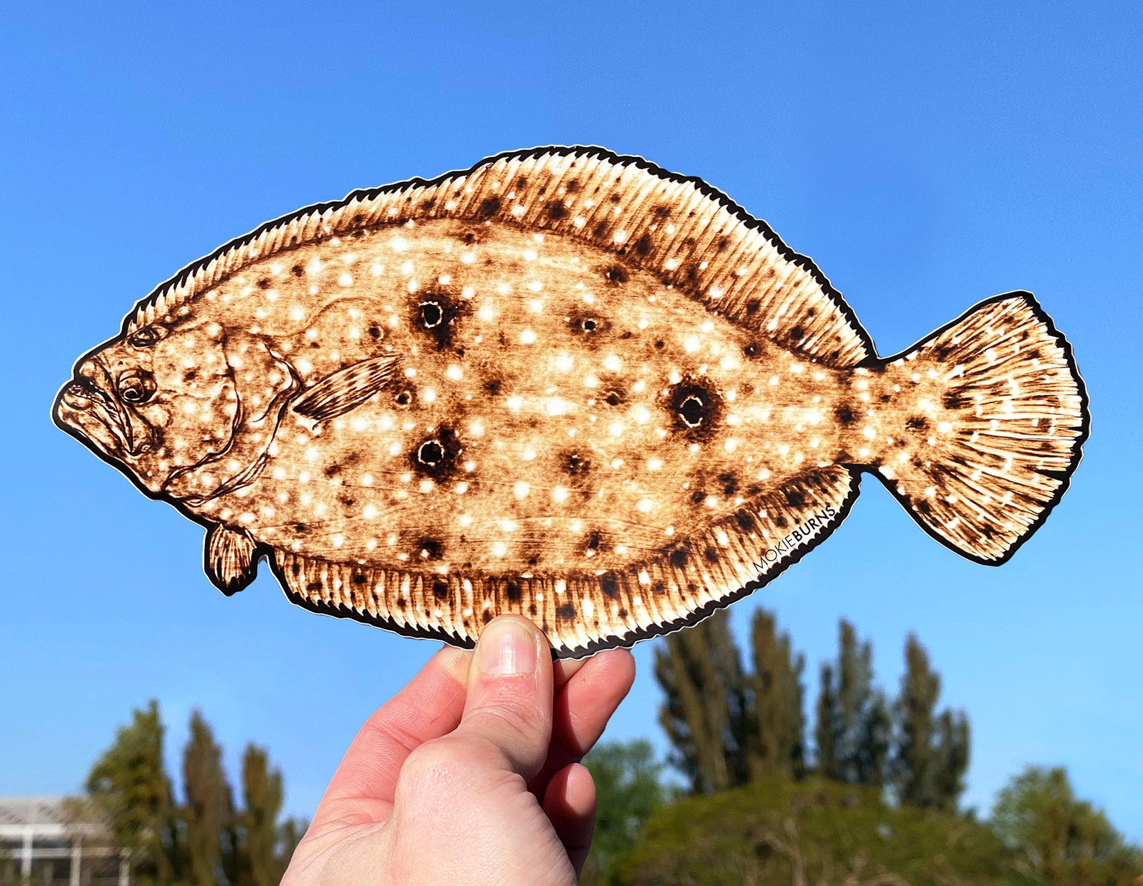 INSHORE Tagged flounder - Mokie Burns