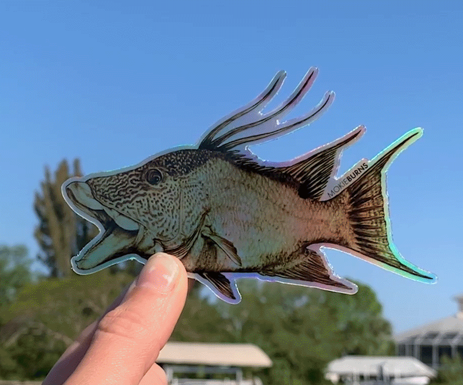 Hogfish Holograph Decal - mokieburns