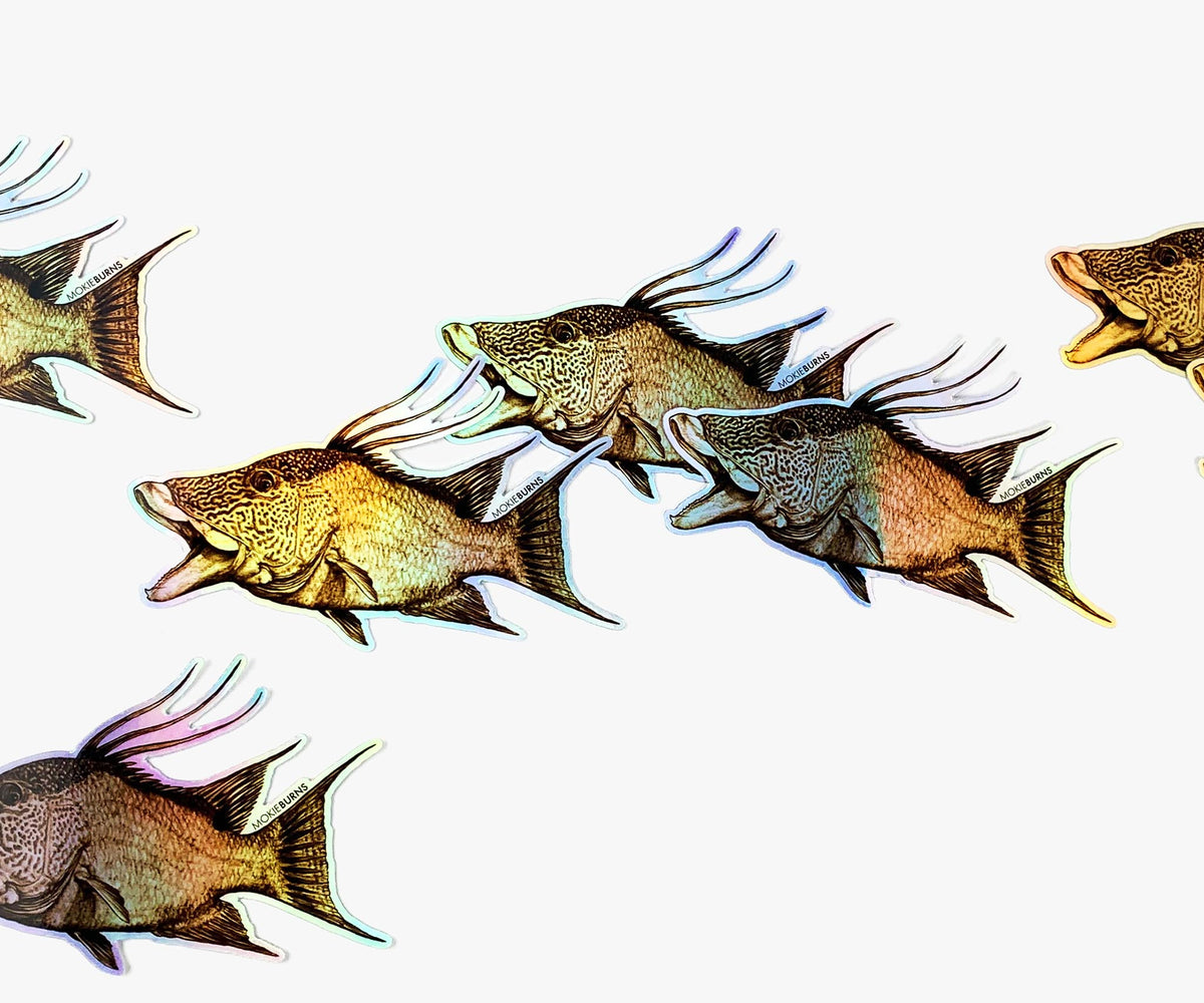 Hogfish Holograph Decal - mokieburns