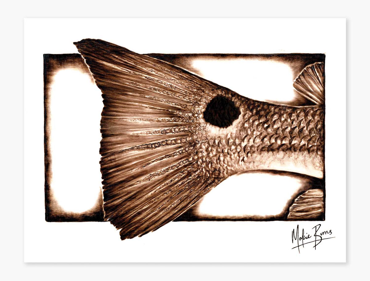 &quot;The O.G.&quot; Redfish Tail - 19x25 Poster Print