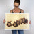 Baby Sea Turtles - Framed Wood Print