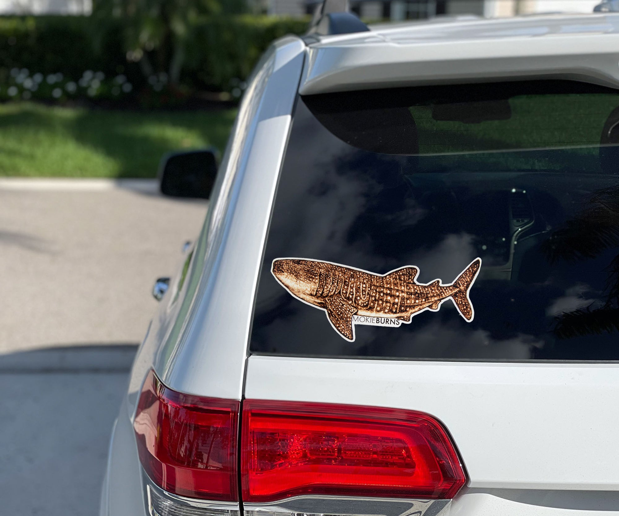 Whale Shark Bumper Sticker - mokieburns