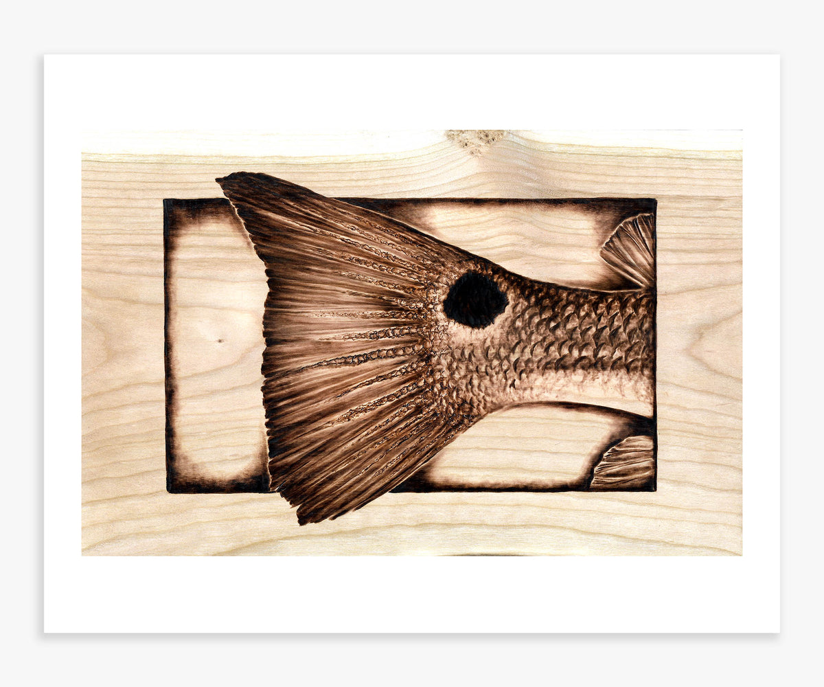 &quot;The O.G.&quot; Redfish Tail - 11x14 Poster Art Print - mokieburns