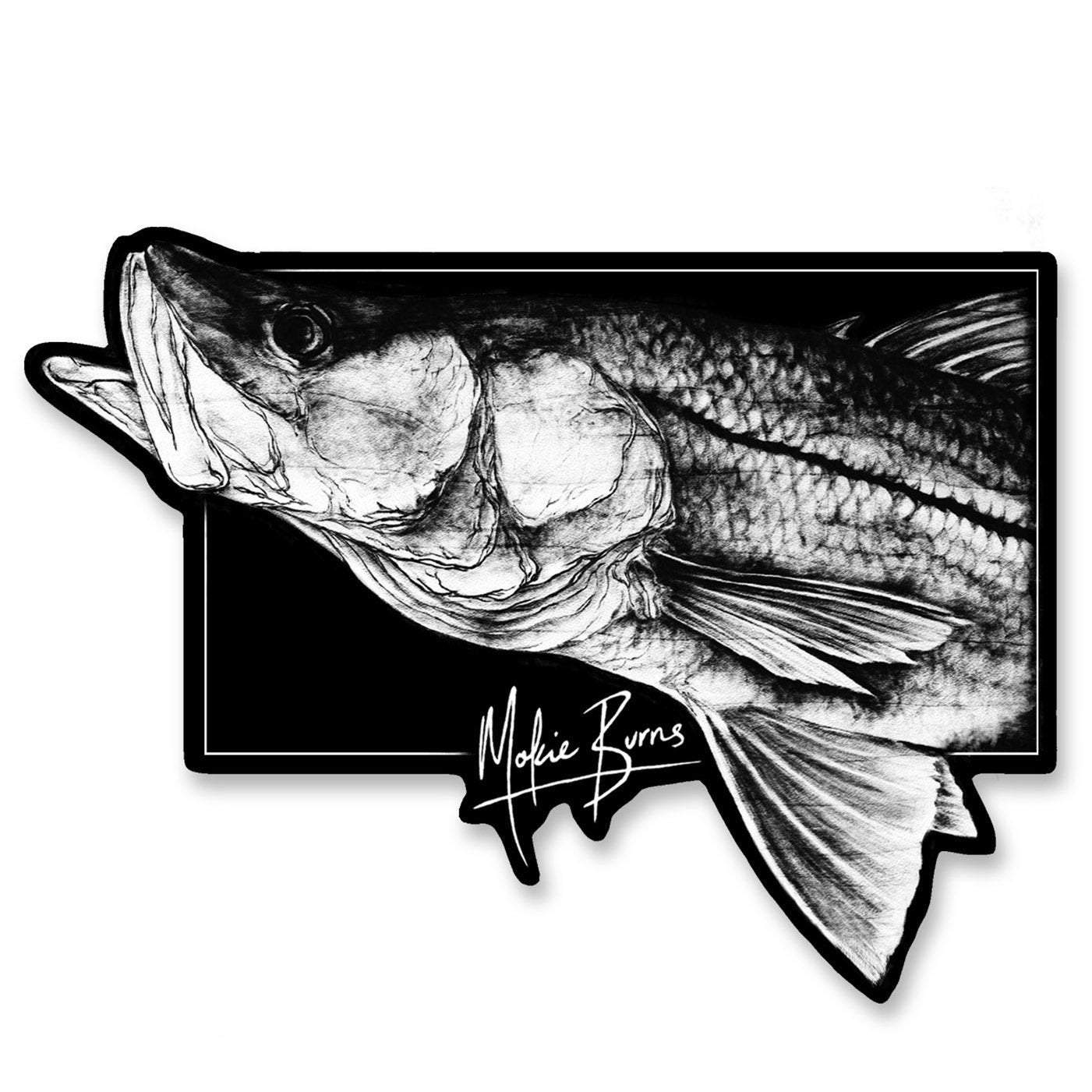 Snook Draw Snook Drawing