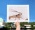 Florida Spiny Lobster - 11x14 Poster Art Print - mokieburns