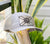 Florida Flag Trucker Hat - Mid Profile - Bonefish Camo + Silver Patch