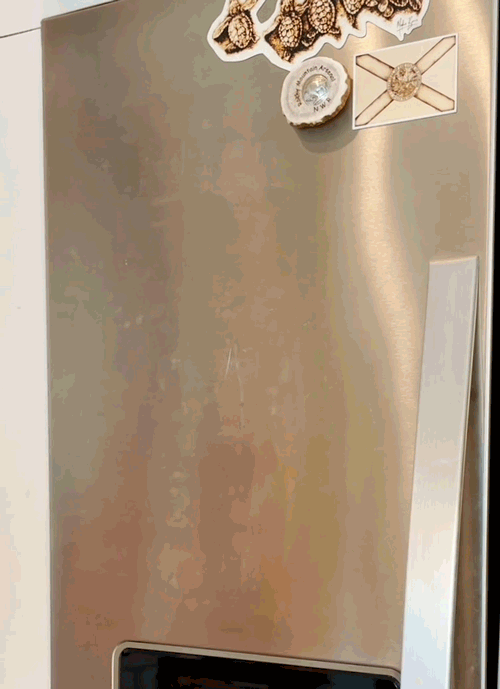 Tarpon Magnetic Bottle Opener - Home Man Cave Bar Accessory Housewarming dorm room gift